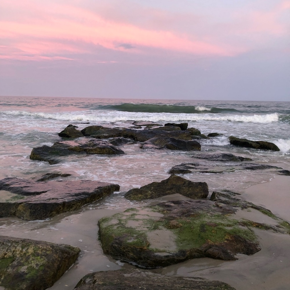 Meet your Posher, Alexandra